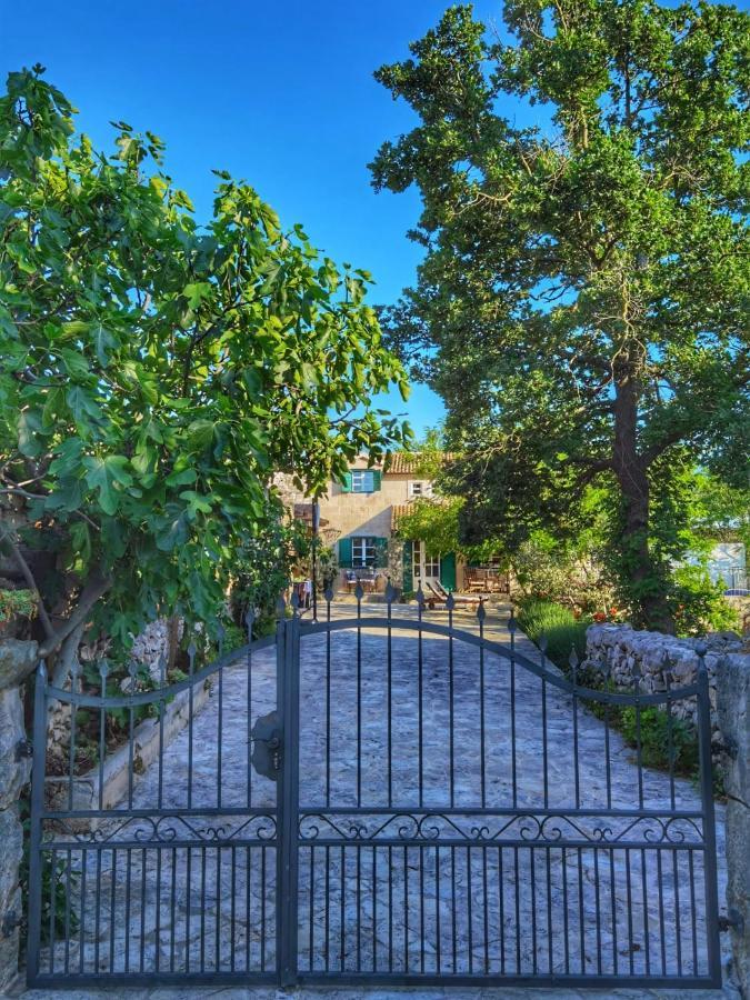 Villa Dvori Dida Mile سفيتي بيتار المظهر الخارجي الصورة