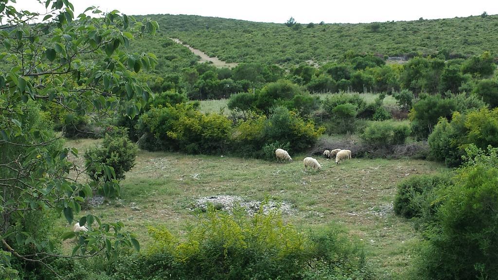 Villa Dvori Dida Mile سفيتي بيتار الغرفة الصورة