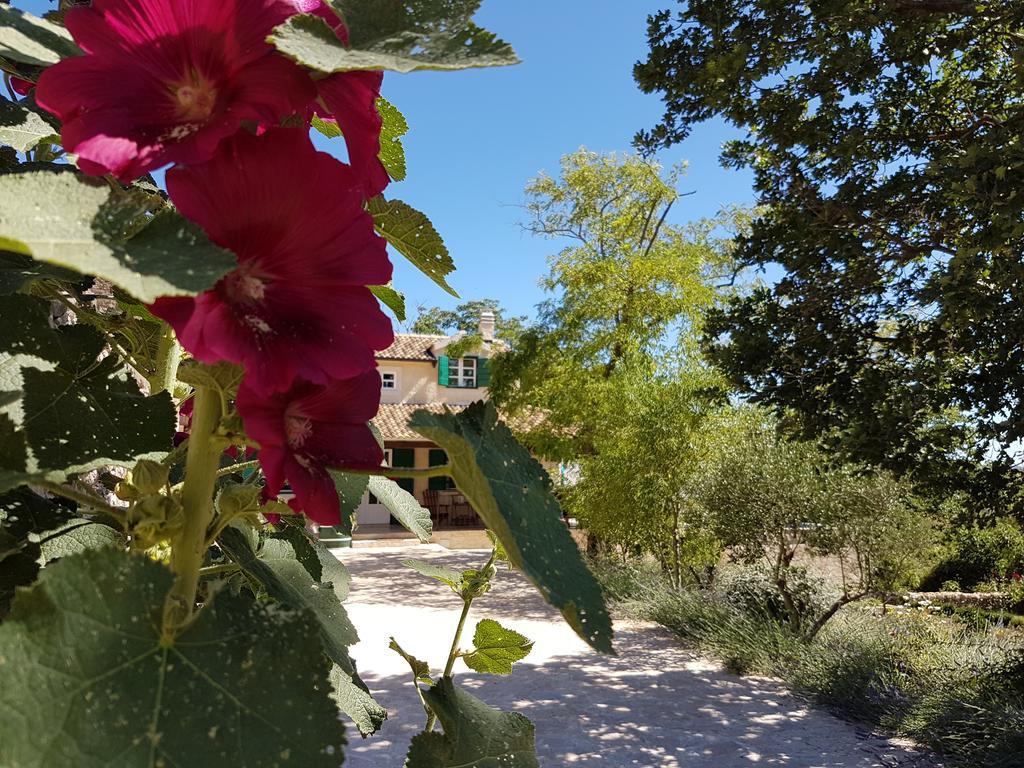 Villa Dvori Dida Mile سفيتي بيتار المظهر الخارجي الصورة